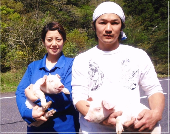 chăn nuôi trang trại tại Nhật Bản 